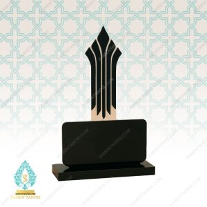 تندیس دانشگاه علمی کاربردی کد T10109